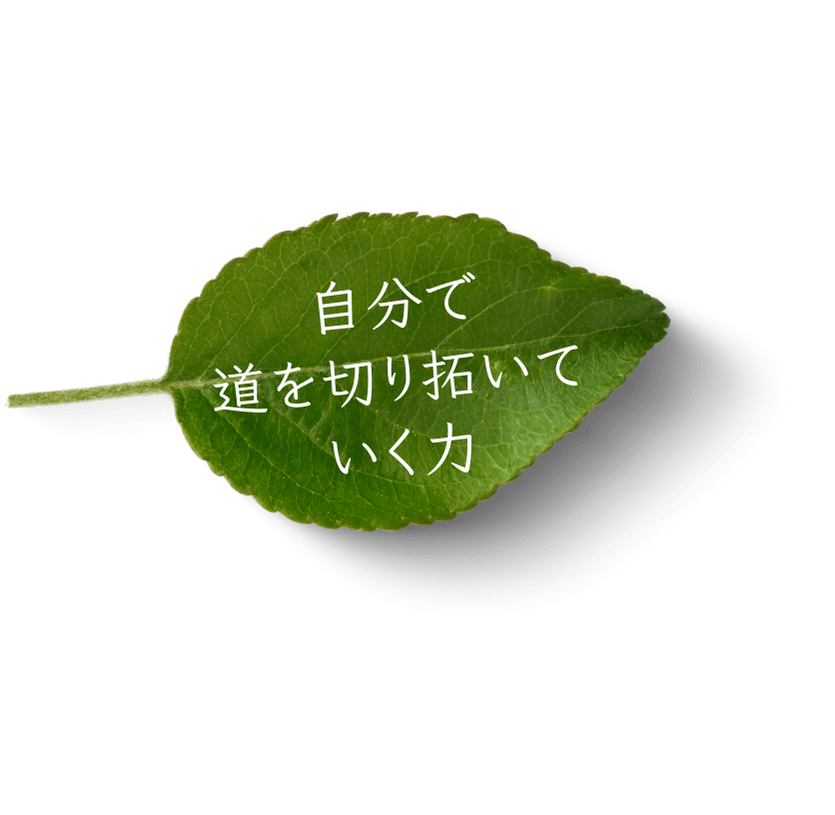 自分で道を切り開いていく力